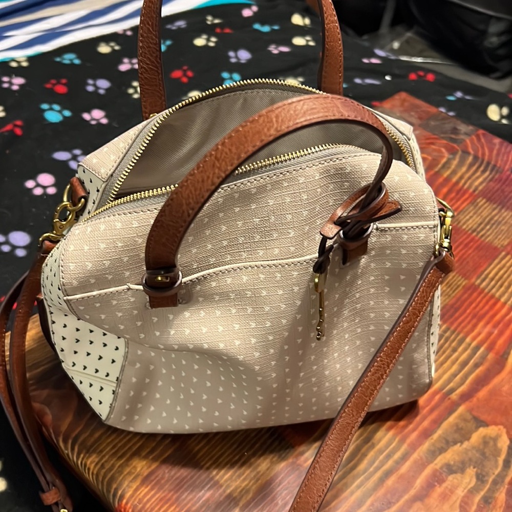 Fossil purse